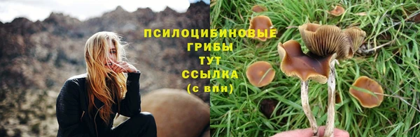мяу мяу кристалл Ростов