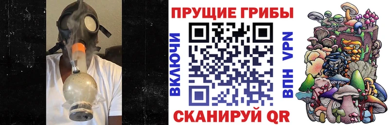 Псилоцибиновые грибы GOLDEN TEACHER  Бердск 