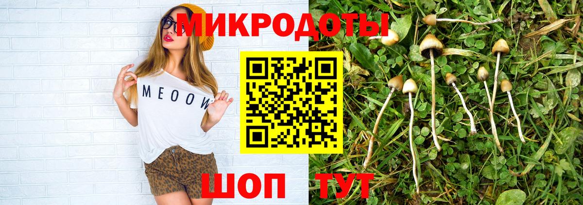 Галлюциногенные грибы мухоморы  Галлюциногенные грибы прущие грибы  Вход с VPN  Бердск 