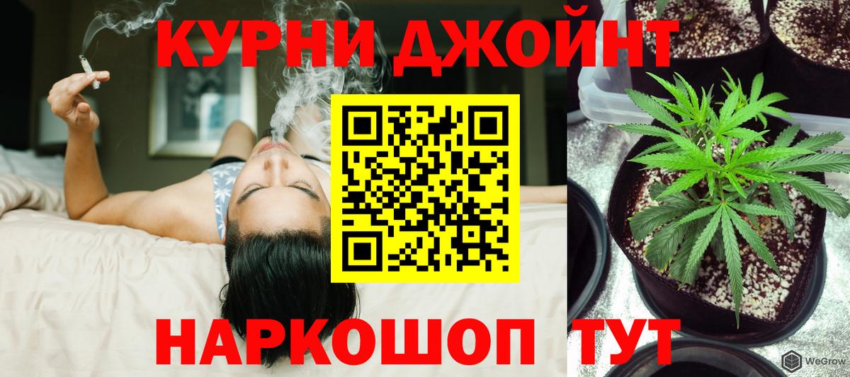 Бошки марихуана MAZAR  Бошки марихуана Bruce Banner  Конопля планчик  Вход с VPN  Конопля марихуана  Бердск 